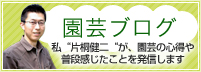 「園芸ブログ」私“片桐健二“が、園芸の心得や普段感じたことを発信します