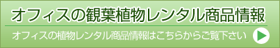 オフィスの観葉植物レンタル商品情報