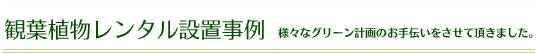 観葉植物レンタル設置事例 様々なグリーン計画のお手伝いをさせて頂きました。