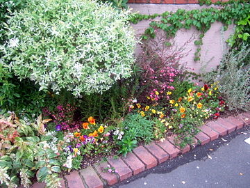 5月 花壇の植え替えに最適な時期です 岐阜市 ガーデニングの仕事中 園芸ブログ 岐阜の観葉植物レンタル 岐阜のグリーンレンタル 販売 片桐園芸